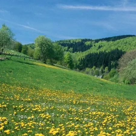 Typ Murmeltier Шмалленберг