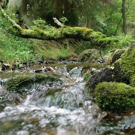 Typ Murmeltier Θέρετρο Schmallenberg