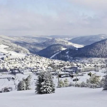 Typ Murmeltier * Schmallenberg