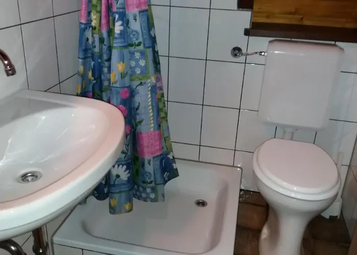 Typ Murmeltier Schmallenberg