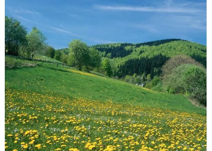 Typ Murmeltier Schmallenberg